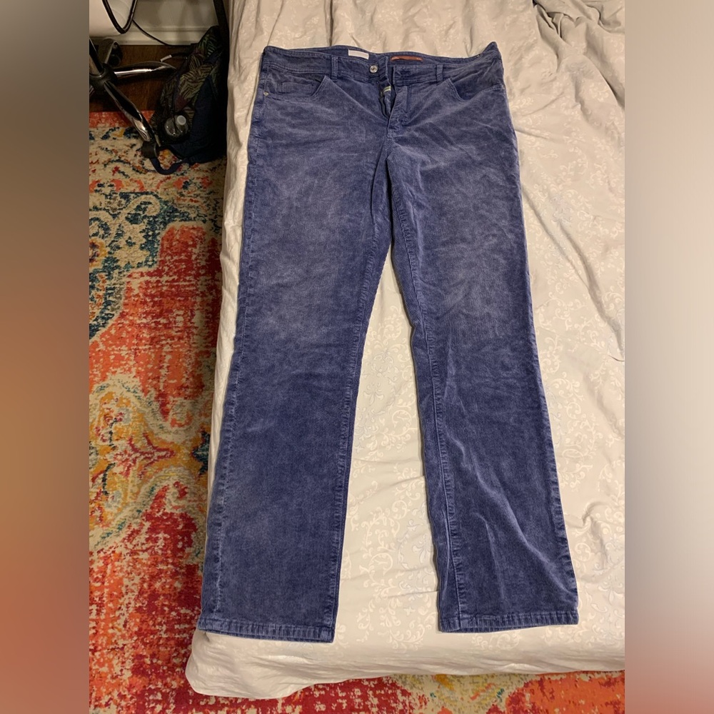 Pilcro Anthropologie blue pants